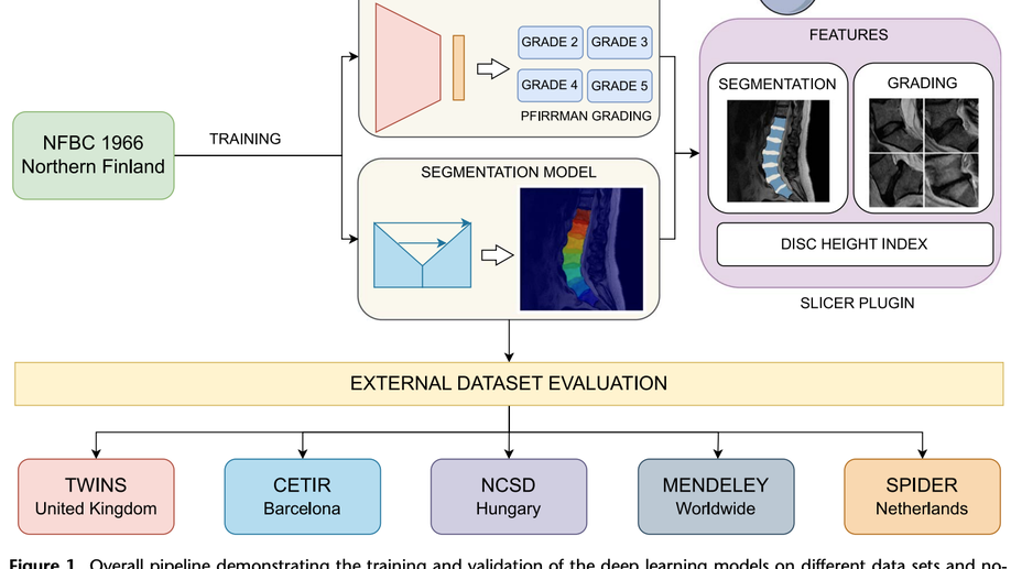 Open Lumbar Spine Image Analysis: A 3D slicer extension for segmentation, grading, and intervertebral disc height index with multi–data set validation
